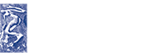 Logo Fundación Berrutti